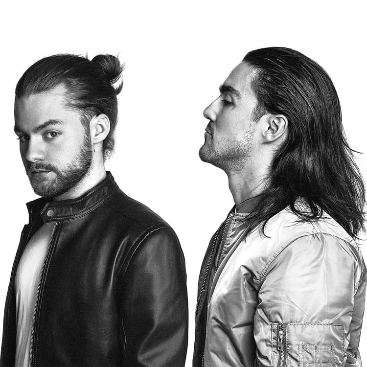 Dimitri Vangelis & Wyman artist profile image