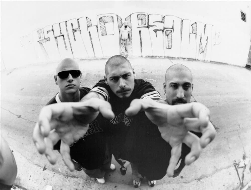 The Psycho Realm's artist profile image