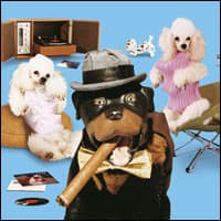 Triumph The Insult Comic Dog's artist profile image