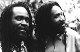 Wailing Souls's artist profile image
