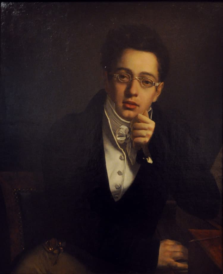 Franz Schubert artist profile image