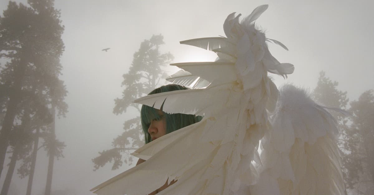 Wisp event image