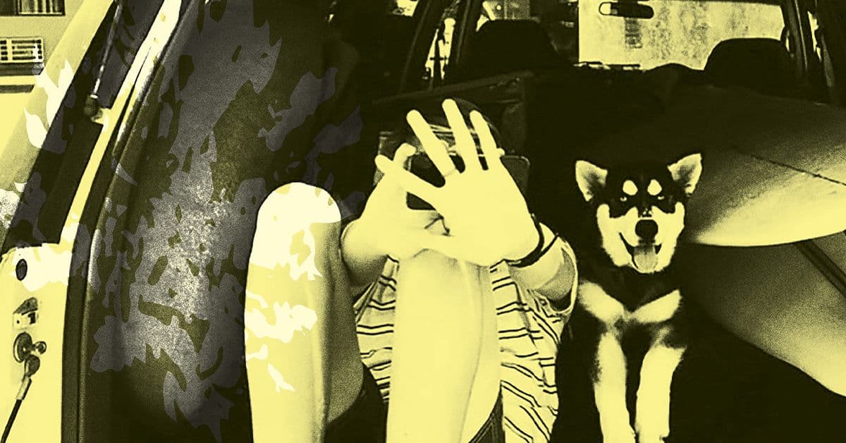 Throwing Muses event image