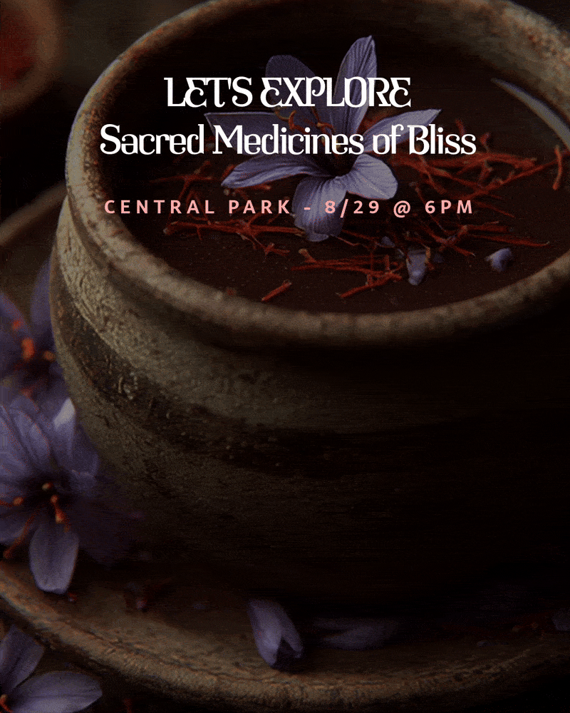Sacred Bliss Cacao & Soundbath (Central Park, NY) event image