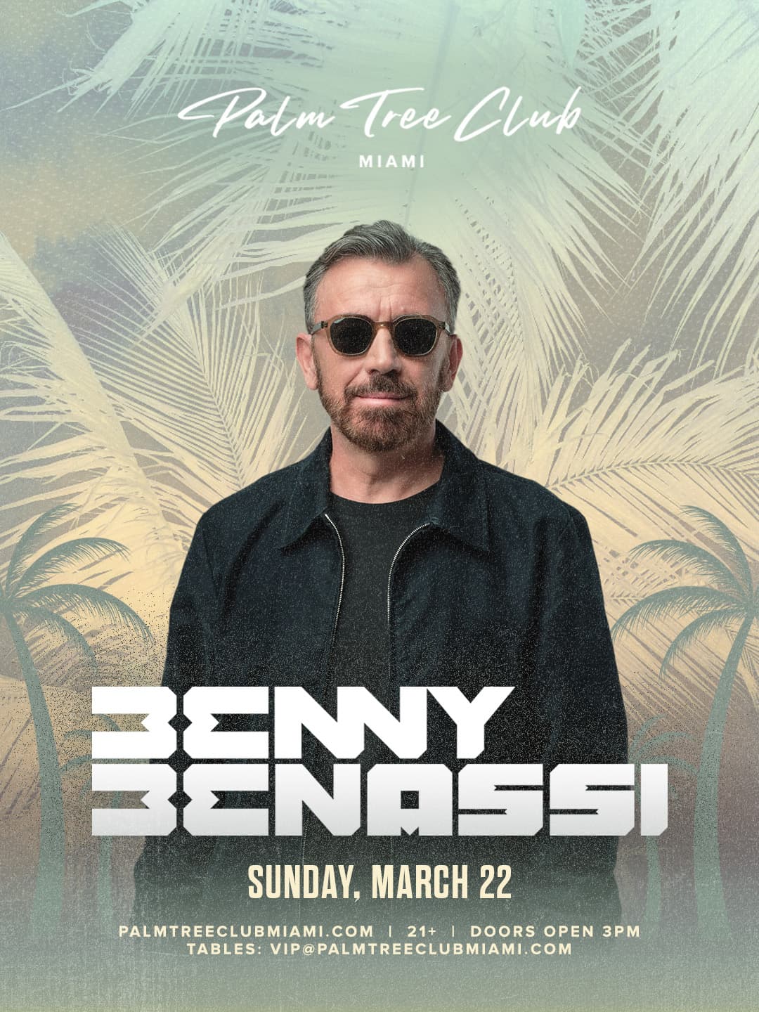 Benny Benassi Presented by Palm Tree Club Miami event image