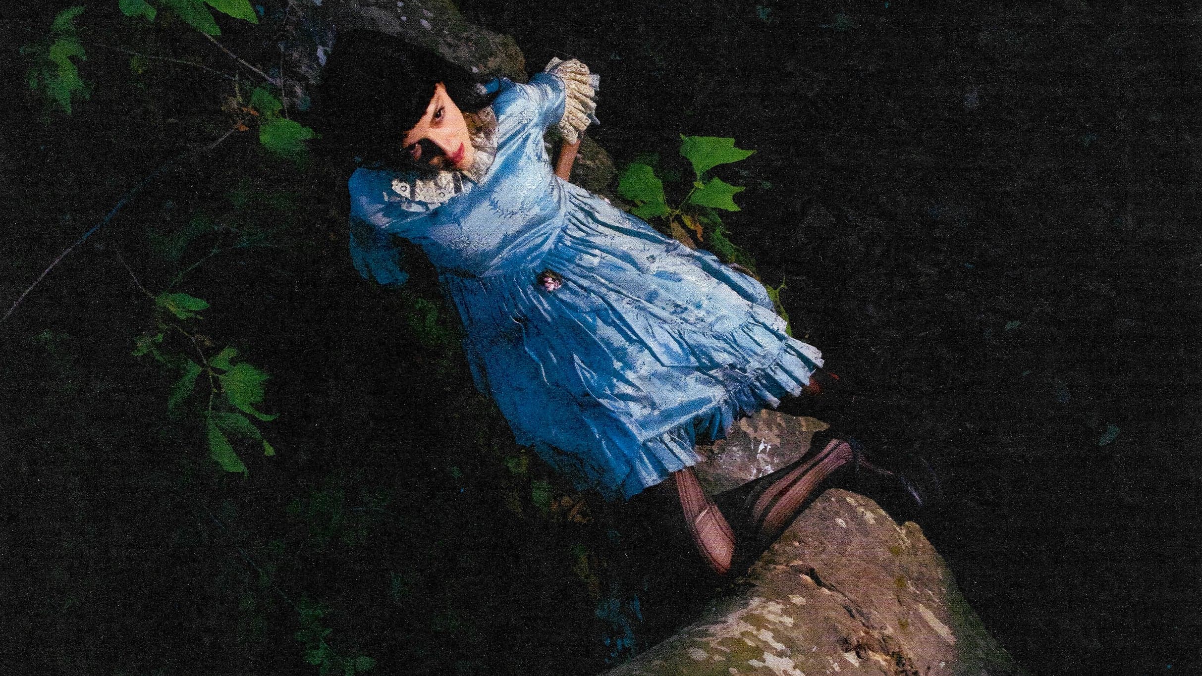 Not for Radio - winter in the garden event image