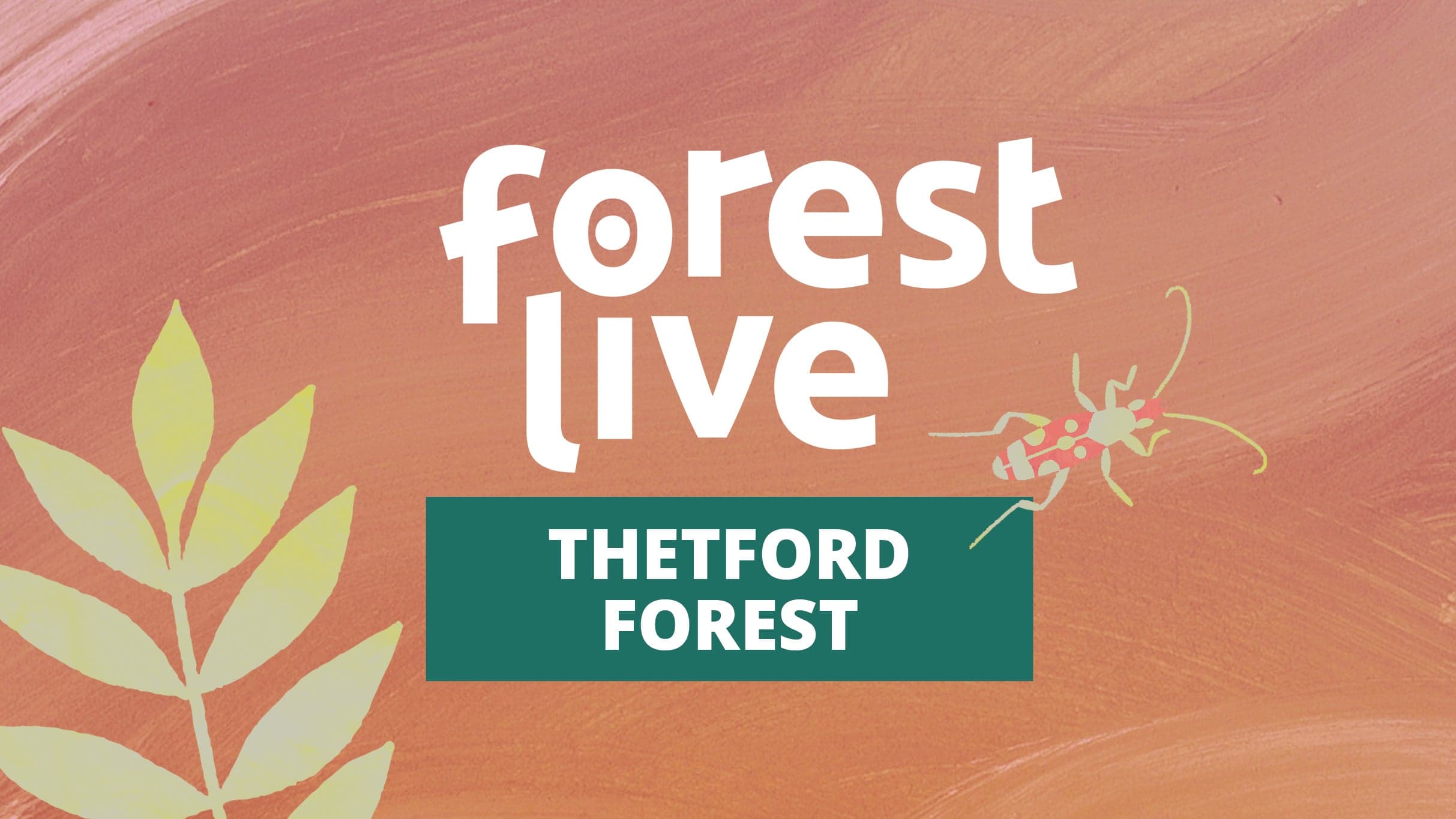4 Day Festival Pass- Thetford Forest event image