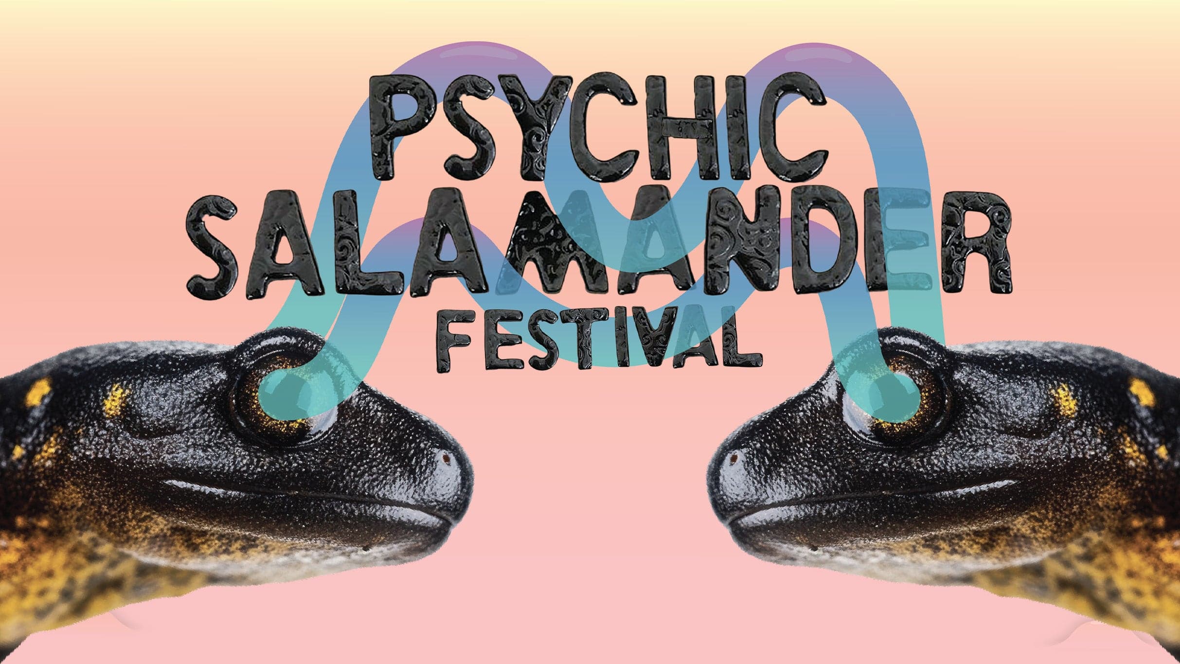 Psychic Salamander Festival 2-Day Pass event image