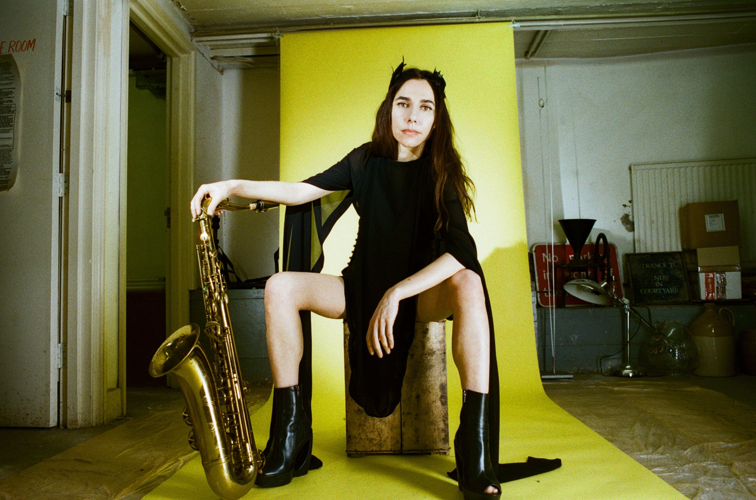 An Evening With PJ Harvey event image