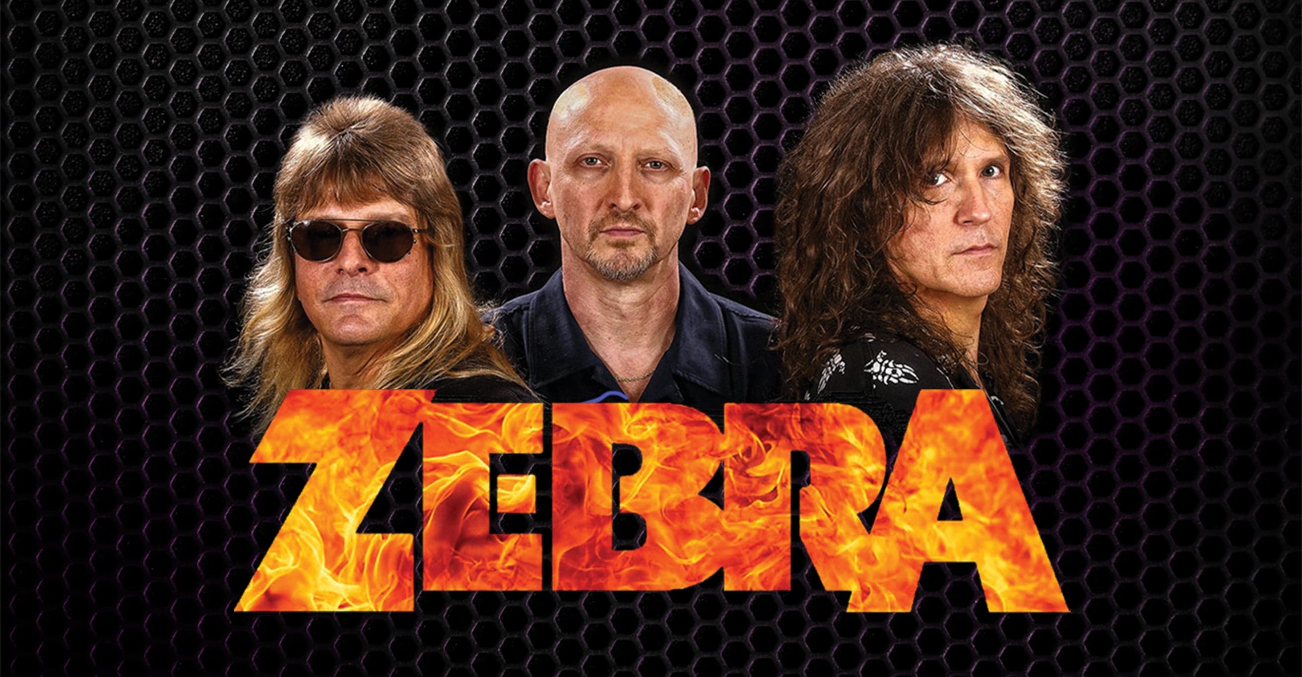 ZEBRA WEEKEND: Filming Both Shows for Future Release! event image