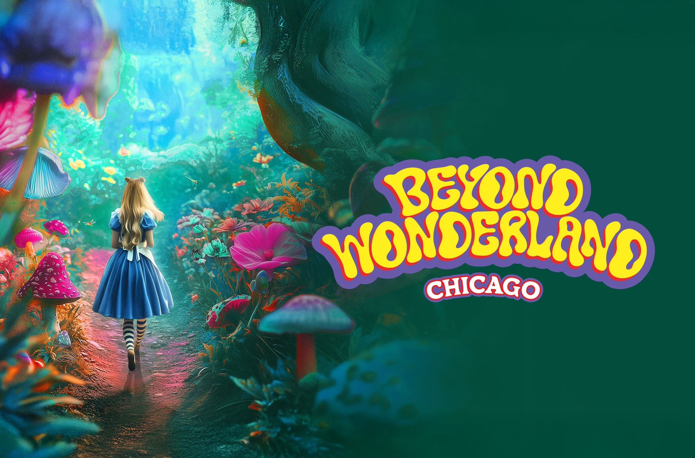 Beyond Wonderland Chicago event image