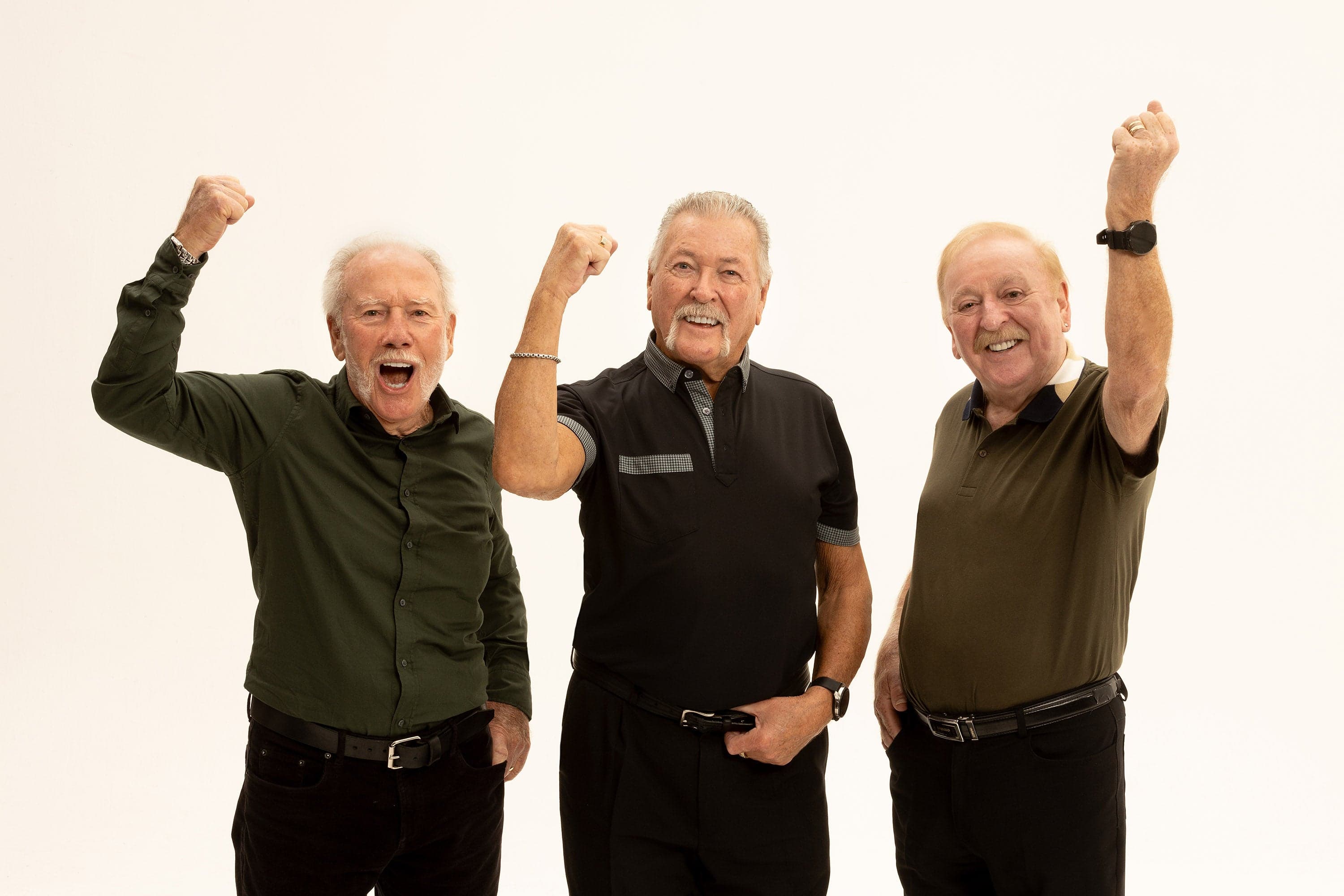 The Wolfe Tones event image