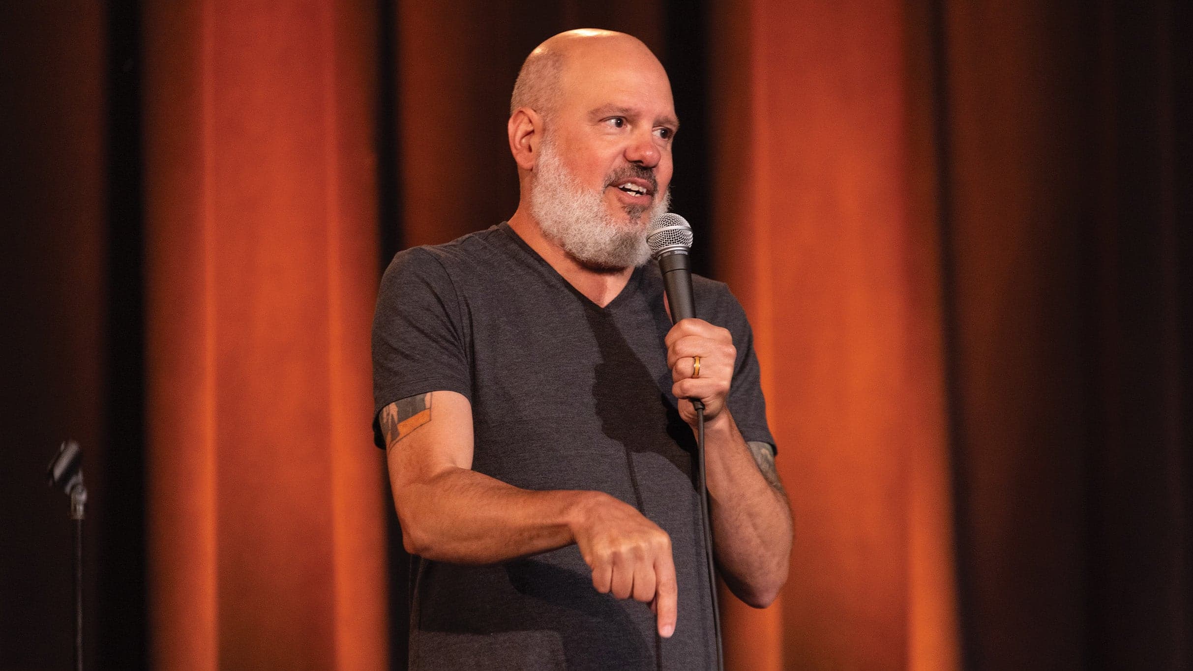 An Anniversary Benefit for Little Essentials w/ David Cross & Friends event image