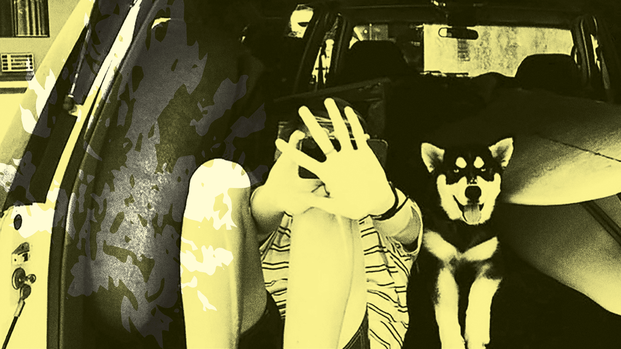 Throwing Muses event image
