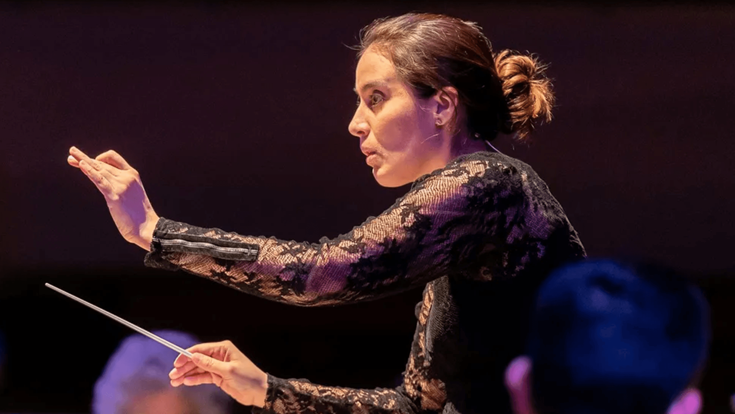 New Jersey Symphony: Vadim Gluzman Plays Brahms event image