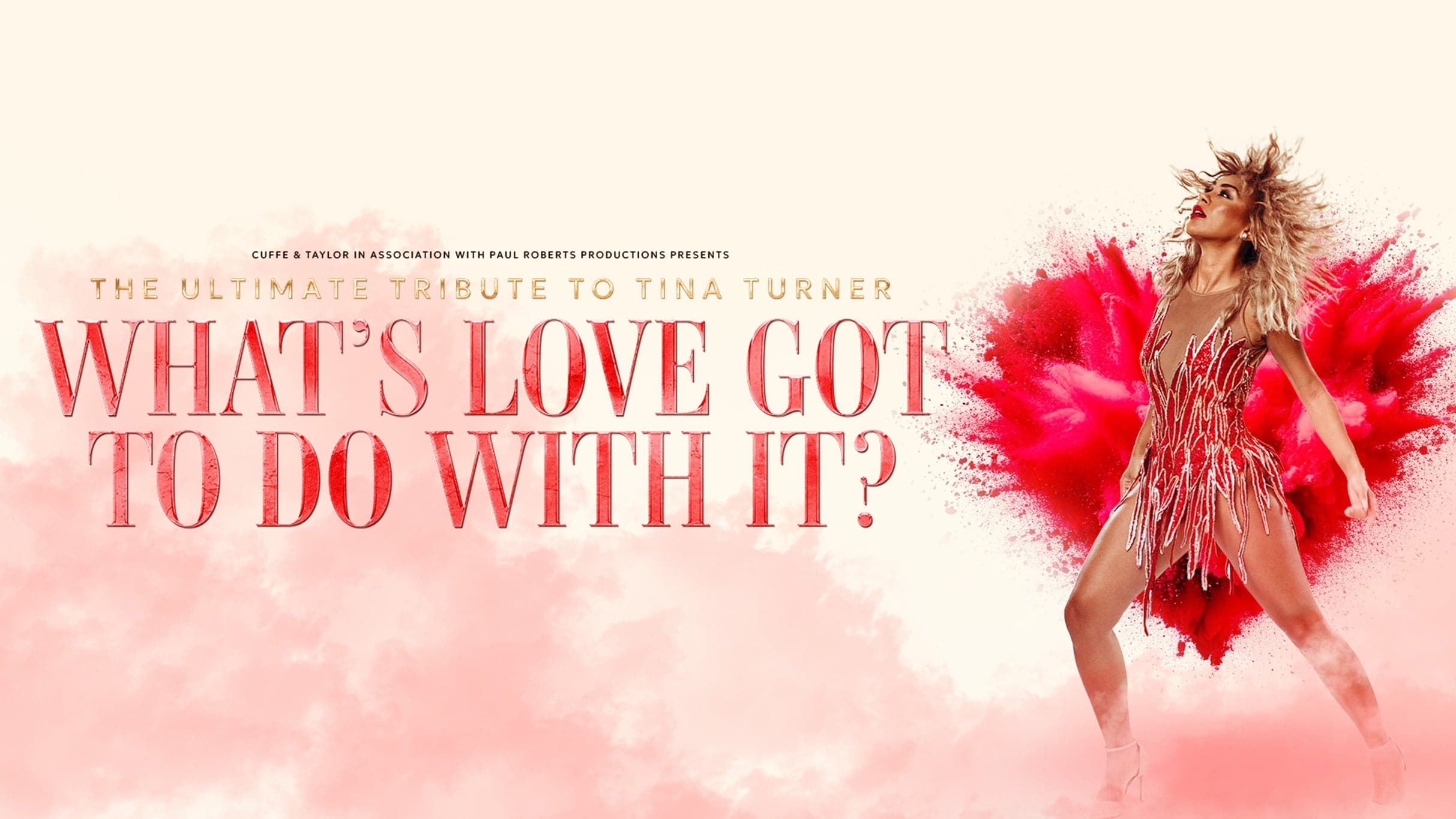 What's Love Got To Do With It? event image