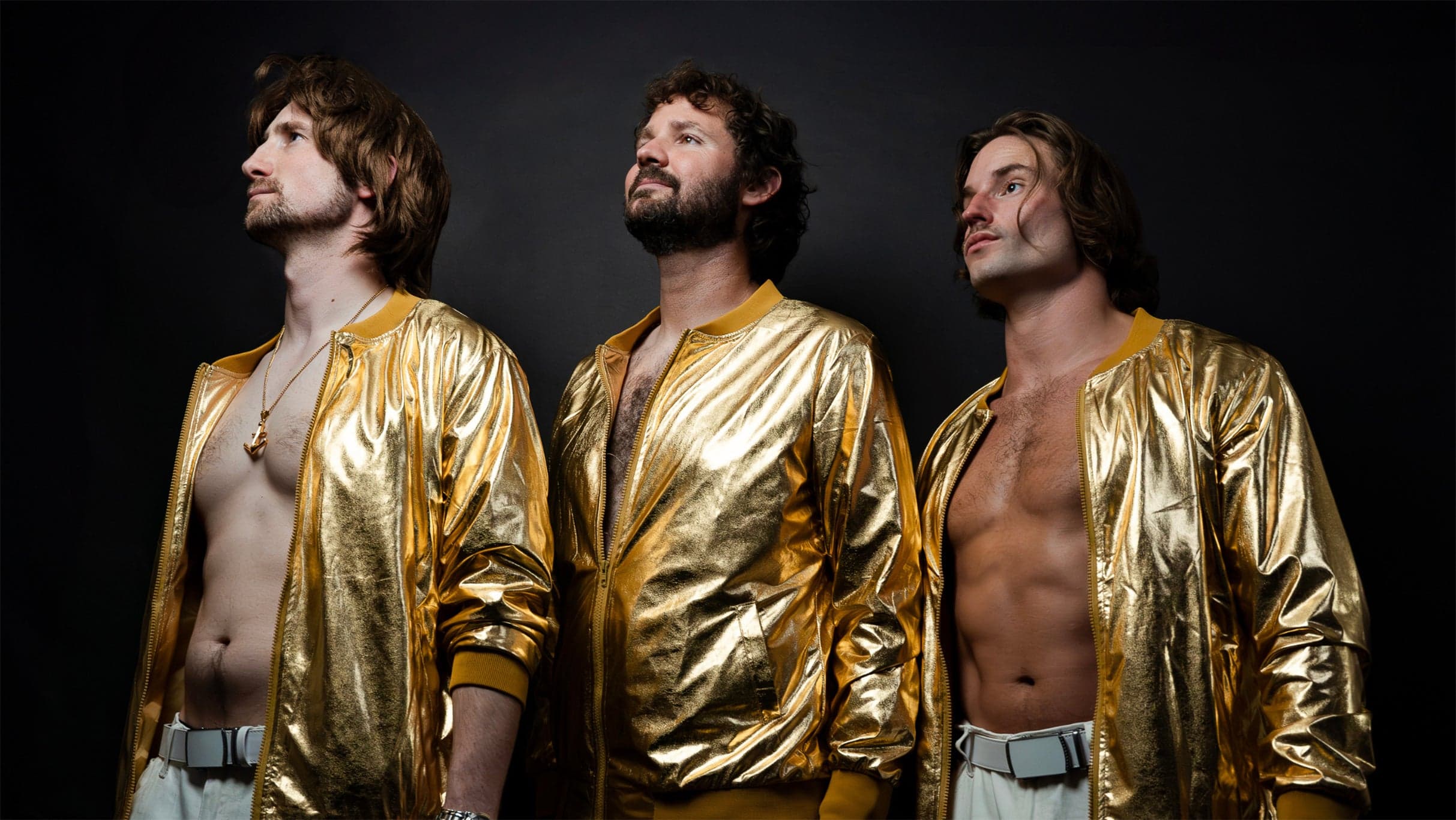 The Bee Gees Tribute Concert Starring You Should Be Dancing event image