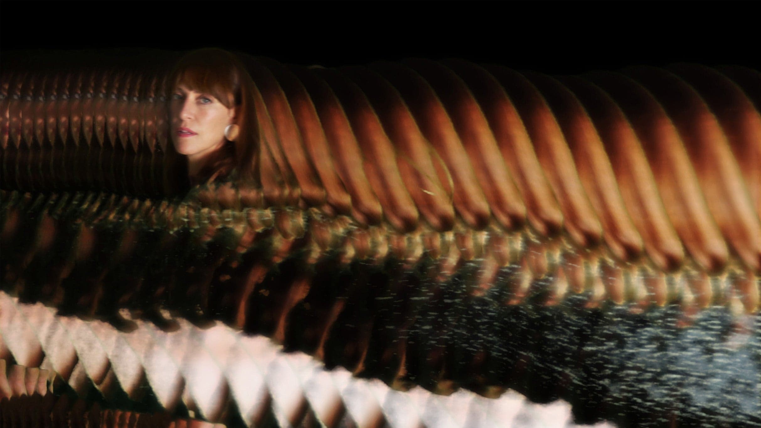 Feist: Multitudes Finale Tour event image
