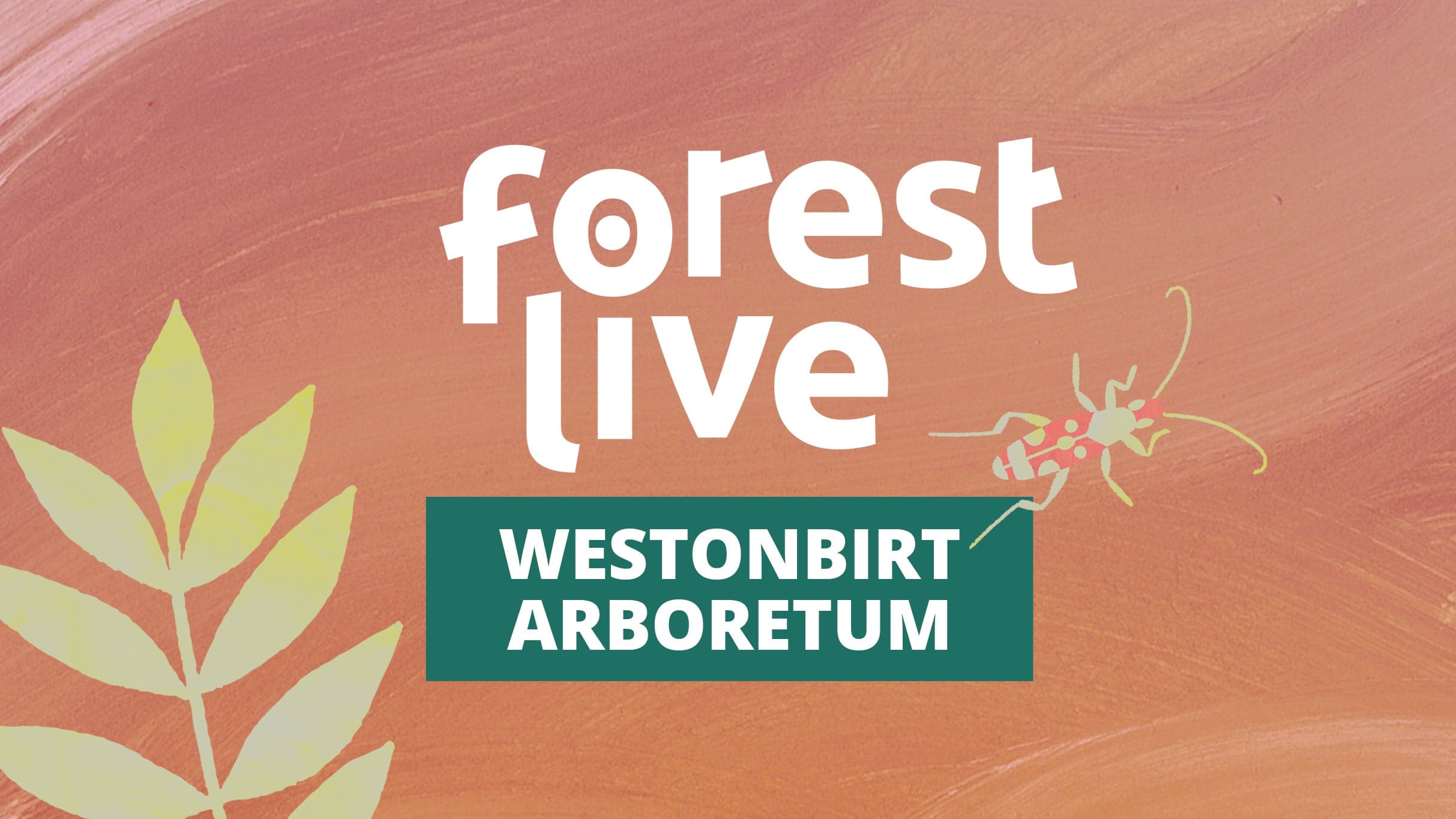 6 Day Festival Pass- Westonbirt Arboretum event image