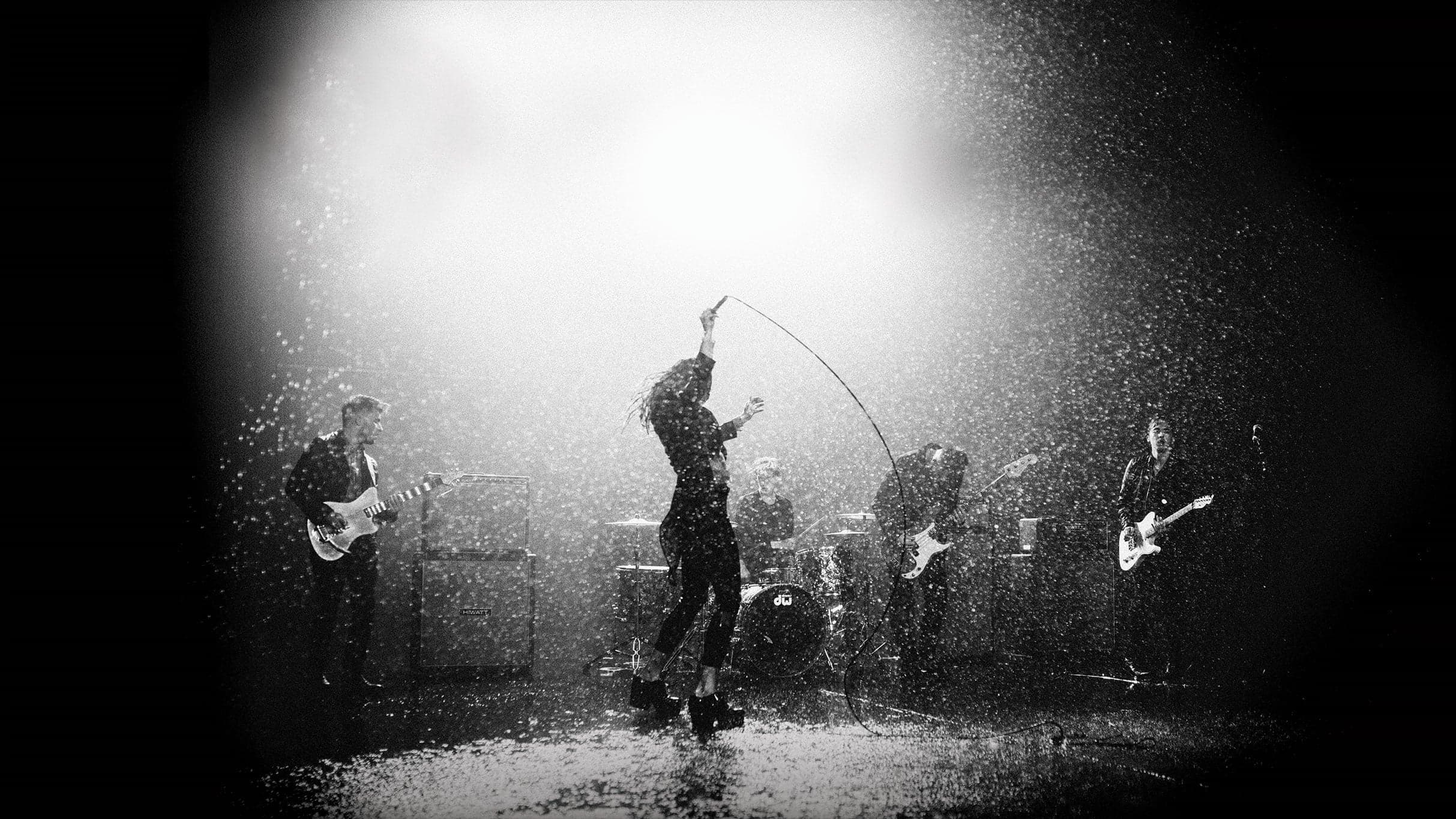 Marmozets event image