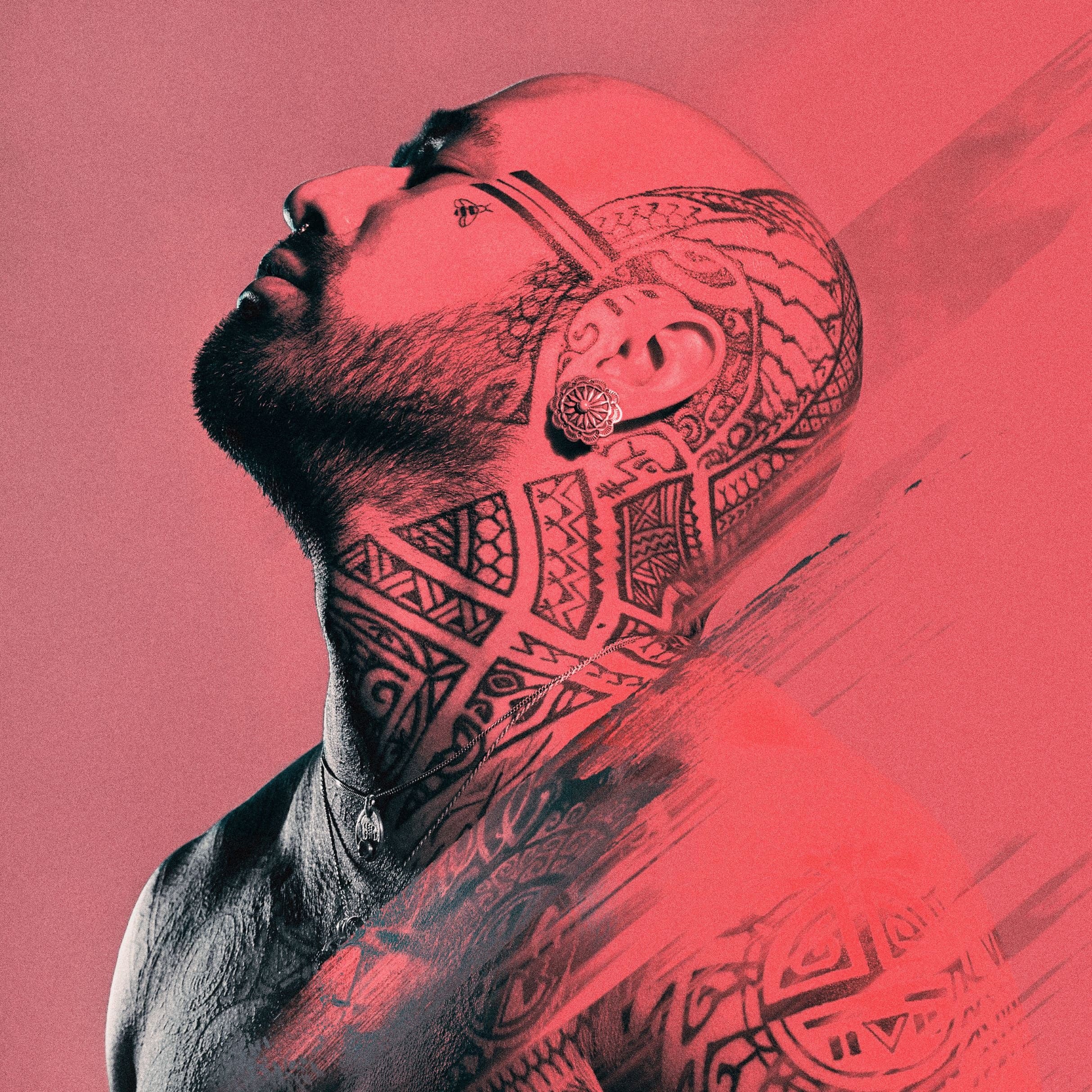 NAHKO AND MEDICINE FOR THE PEOPLE - TAKE YOUR POWER BACK 2025 event image