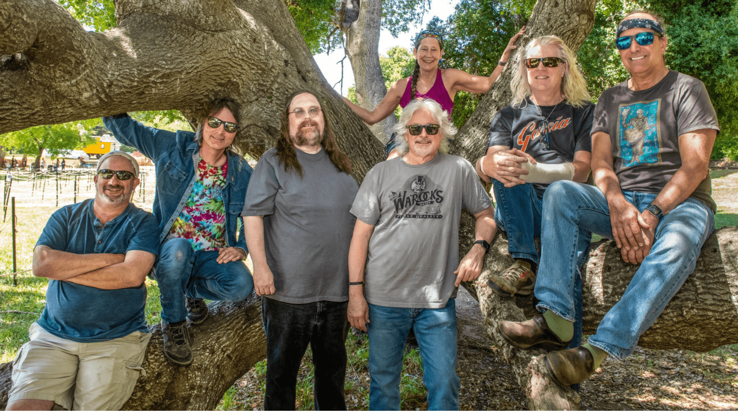 Dark Star Orchestra event image