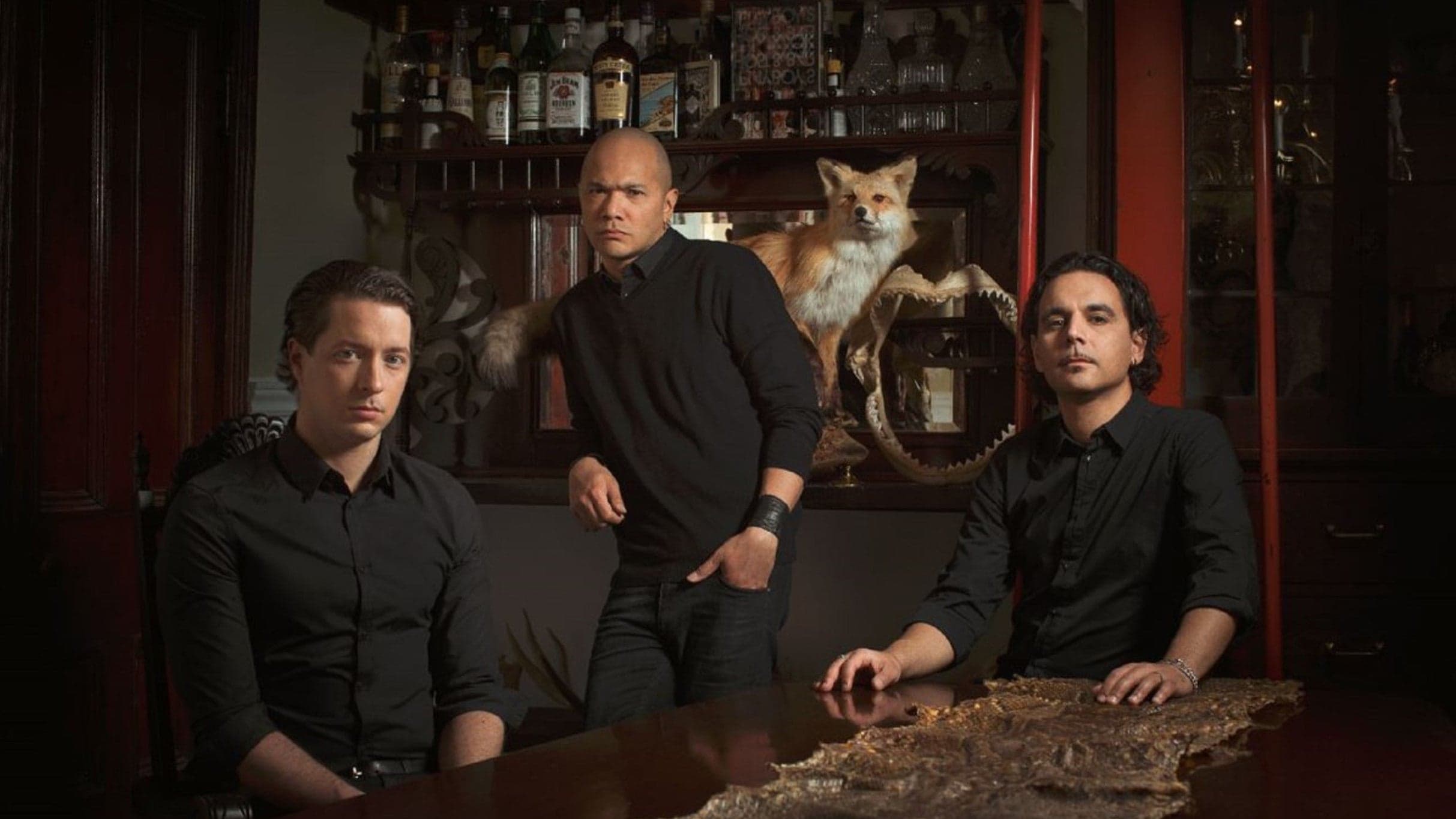 Danko Jones Â Is What You Need Tour 2025 event image