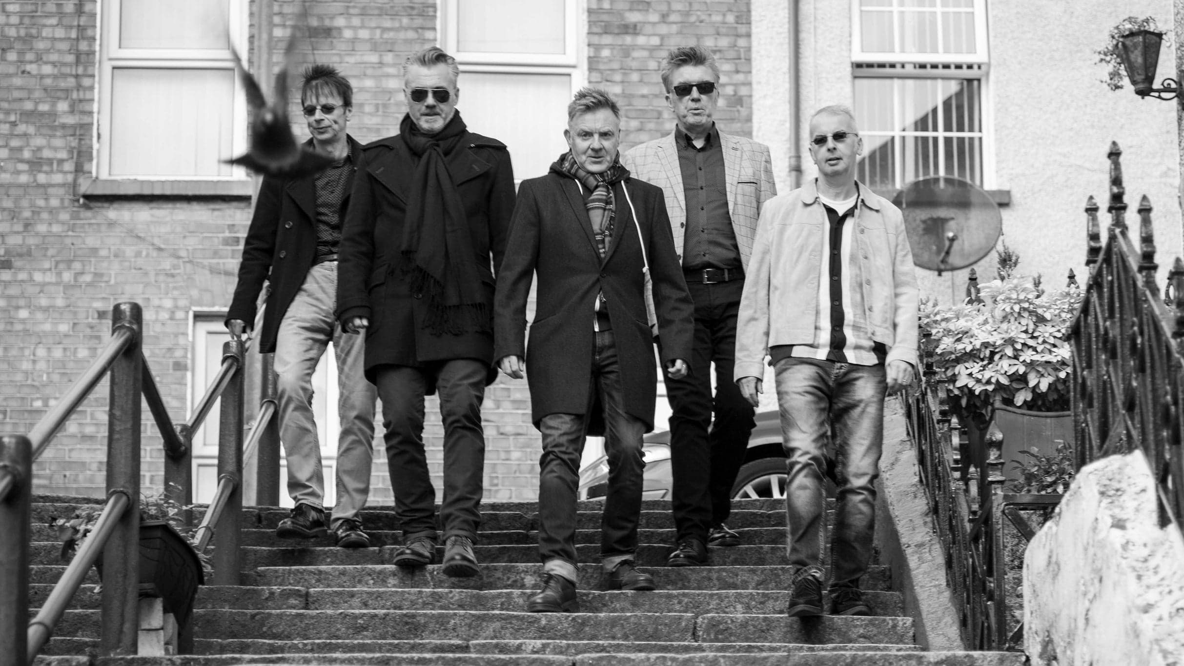 The Undertones with special guests The Frank & Walters event image