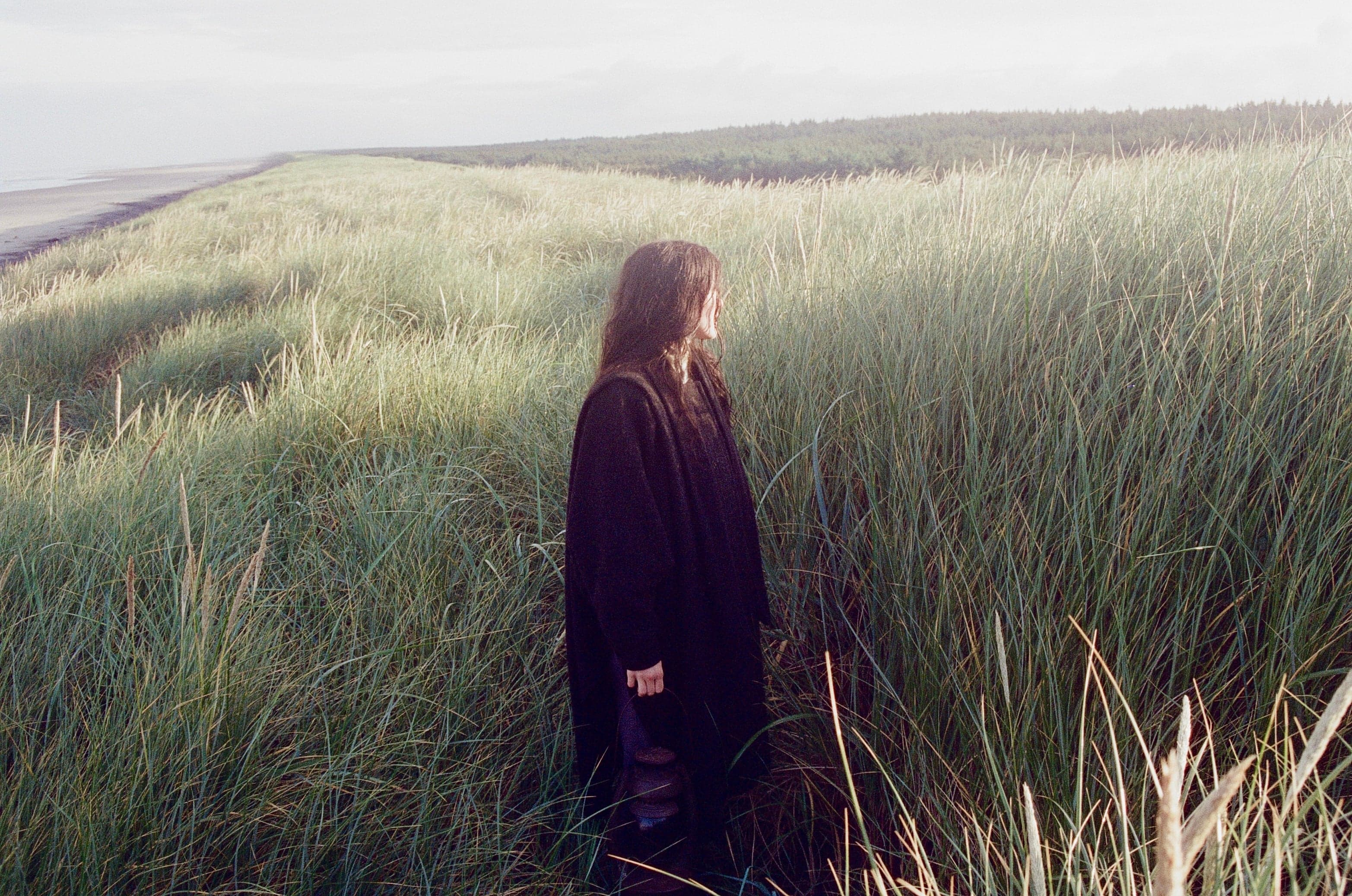 Searows - Death in the Business of Whaling event image