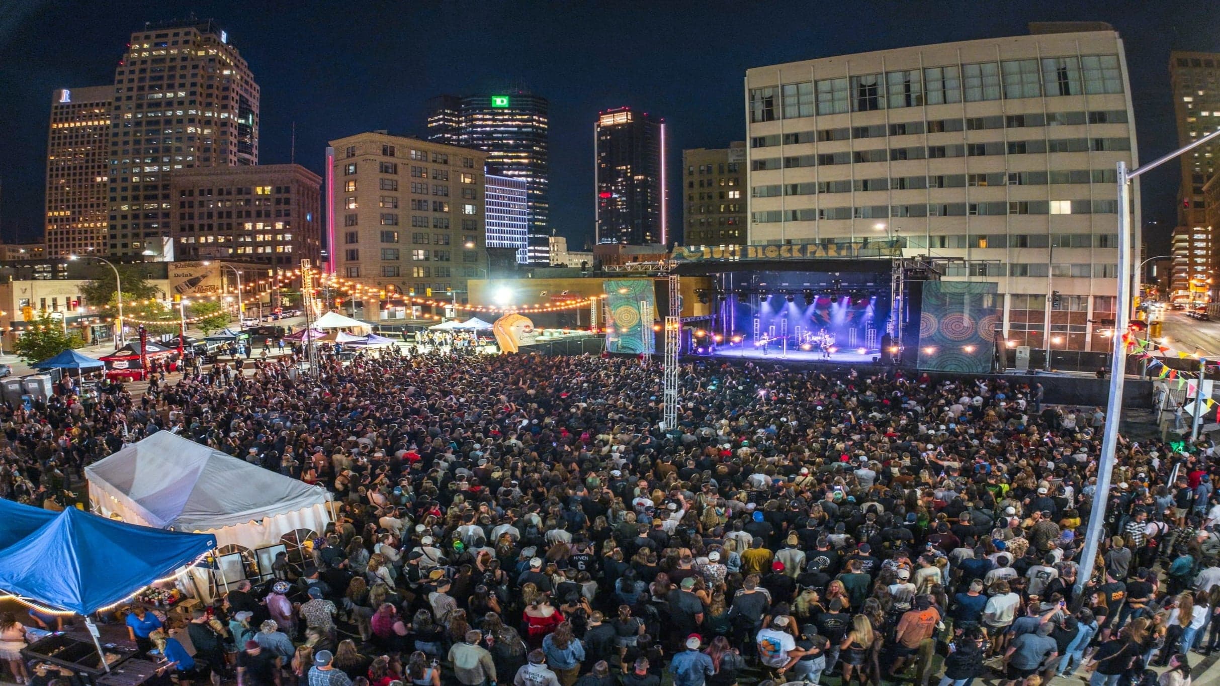 Burt Block Party 2-Day Pass (Saturday and Sunday Only) event image