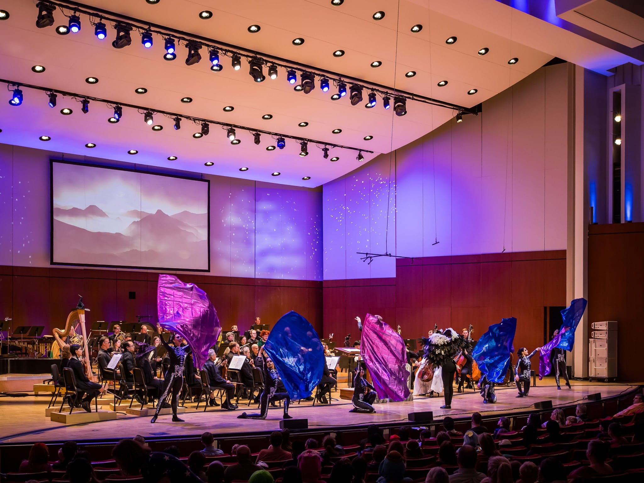 Students at the Symphony with the Atlanta Symphony Orchestra event image