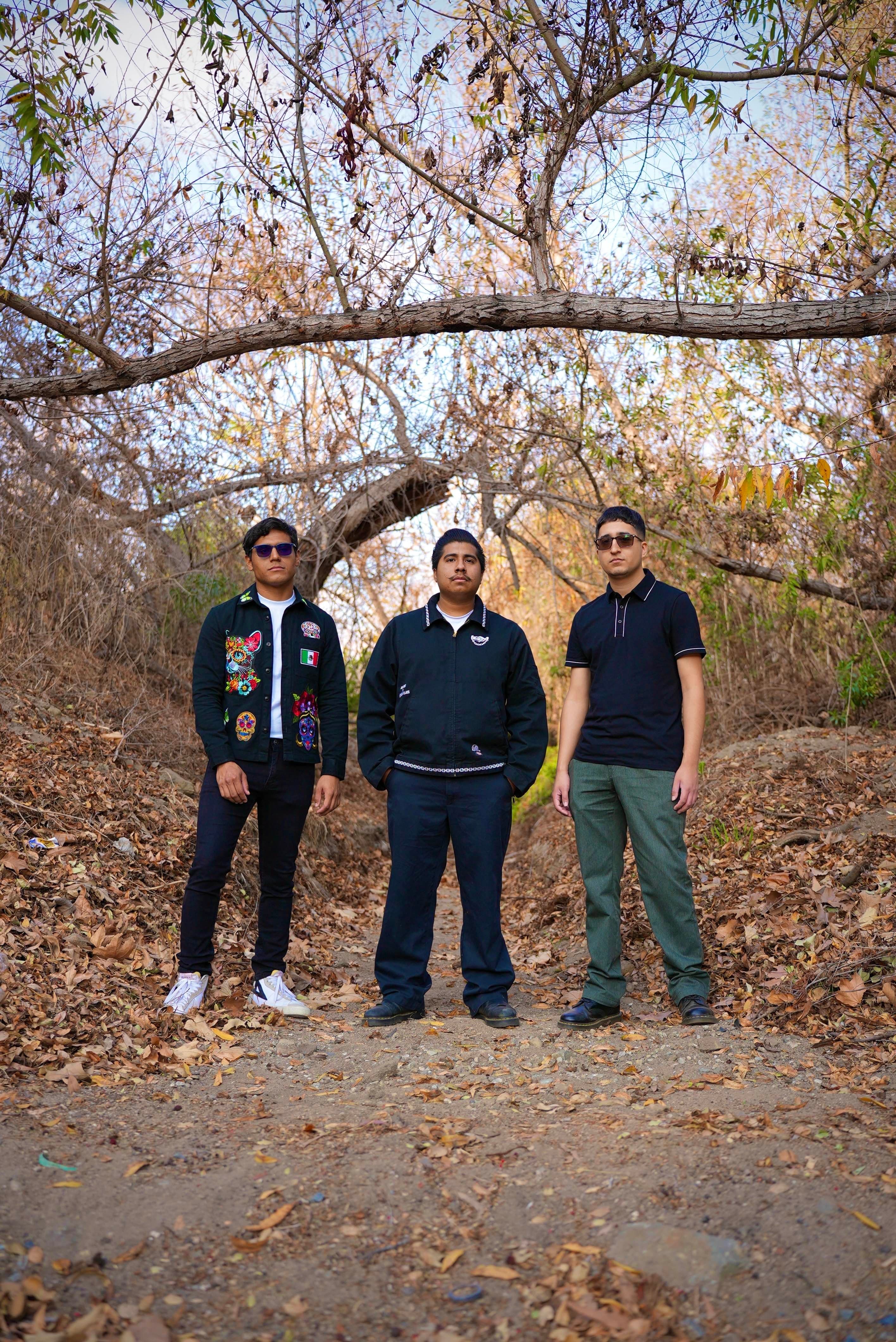 Surely Tempo x Flamingos in the Tree event image