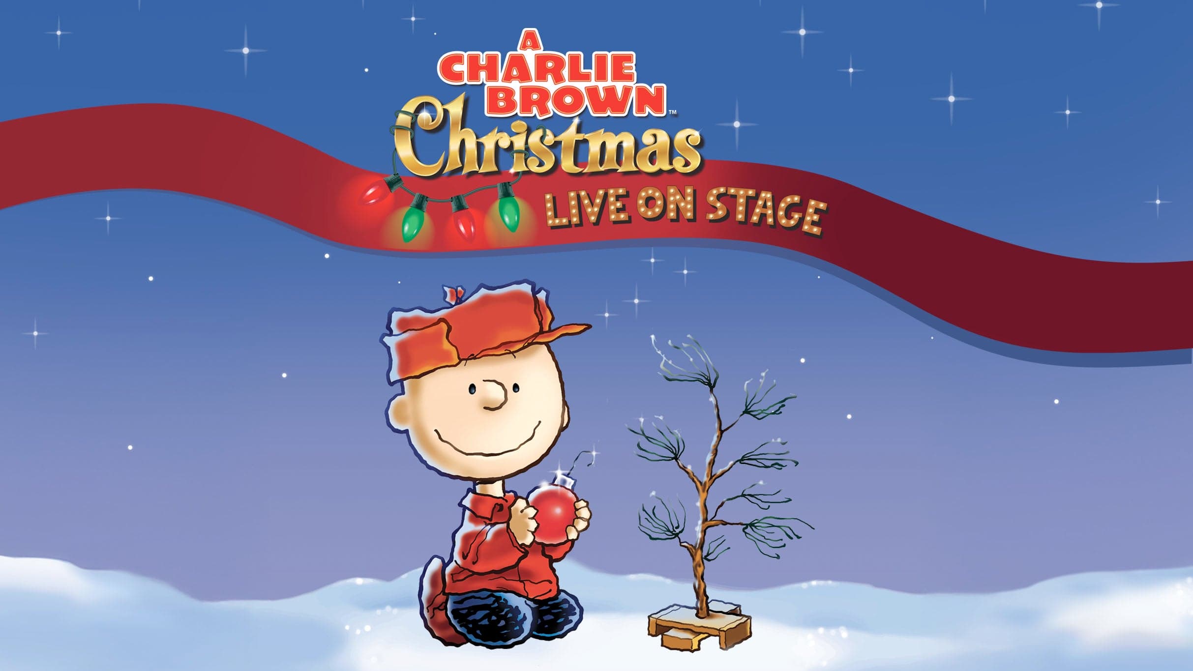 A Charlie Brown Christmas Tour Live On Stage event image