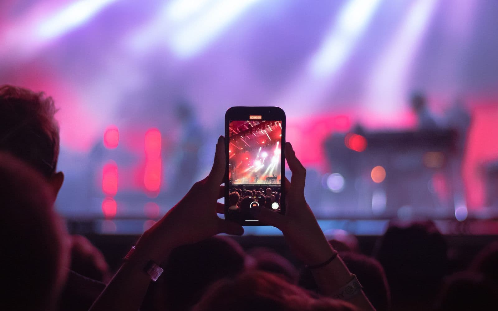 Guest holding up a phone in a crowd under pink and purple stage lights