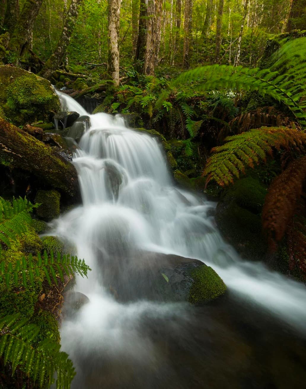 Mindfulness meditations event image