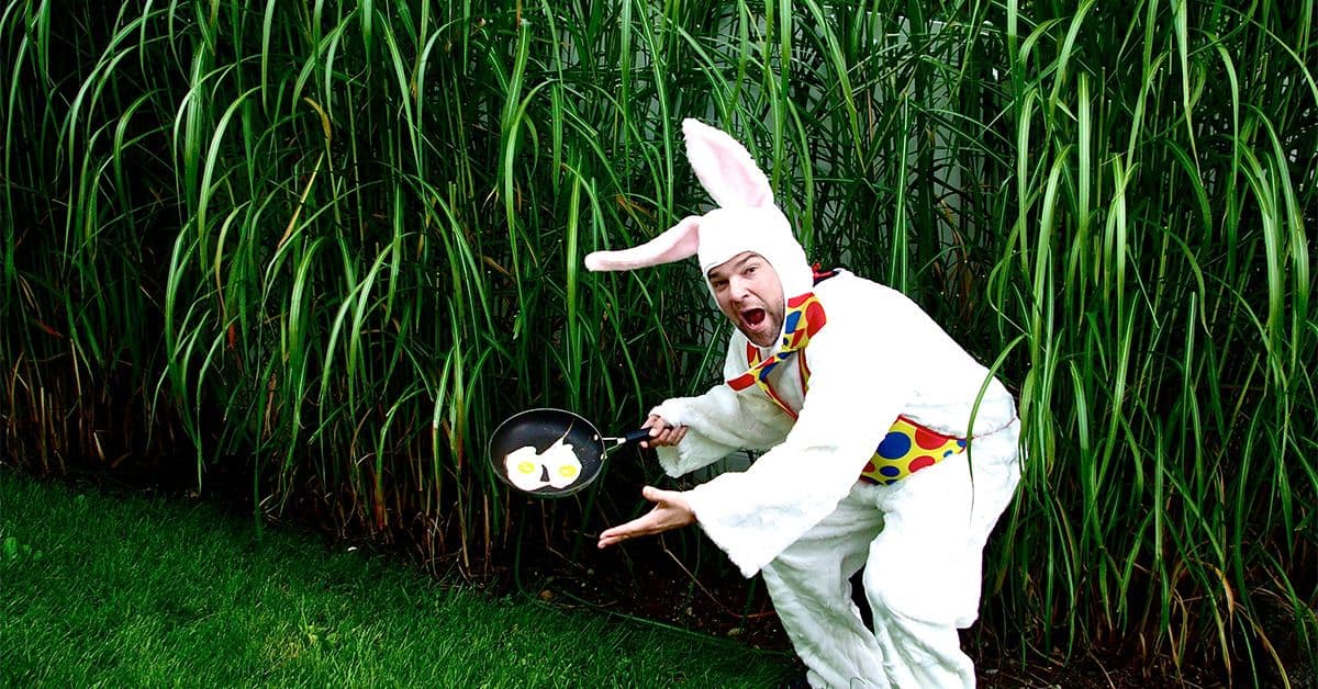 Reggie and the Full Effect event image