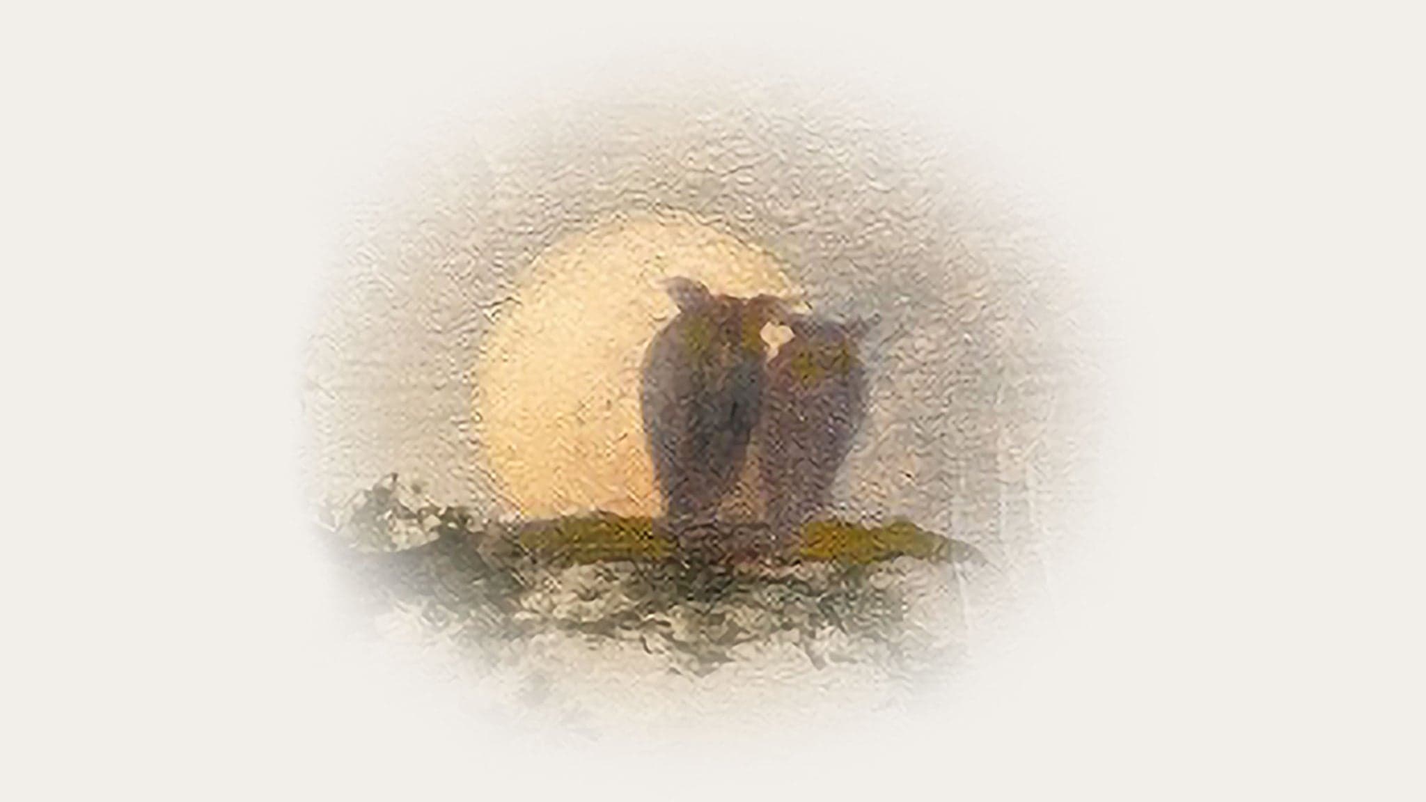 Paul Simon event image