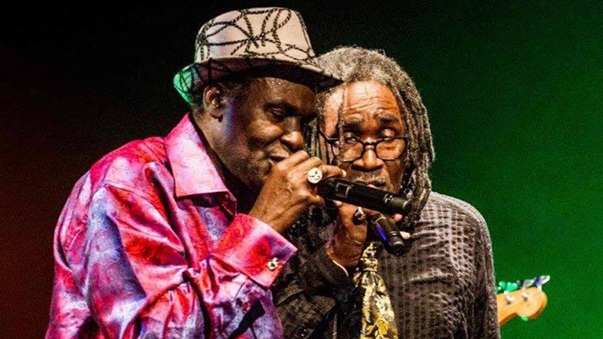 MARLEY FESTIVAL with WAILING SOULS + SPECIAL GUESTS event image