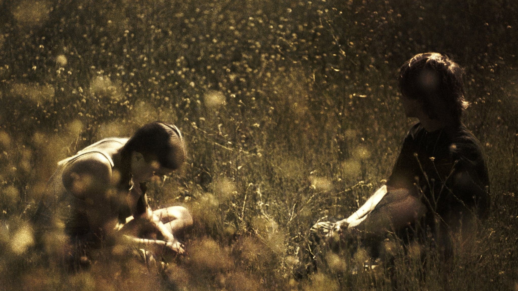 Ethel Cain - the Willoughby Tucker Forever Tour event image