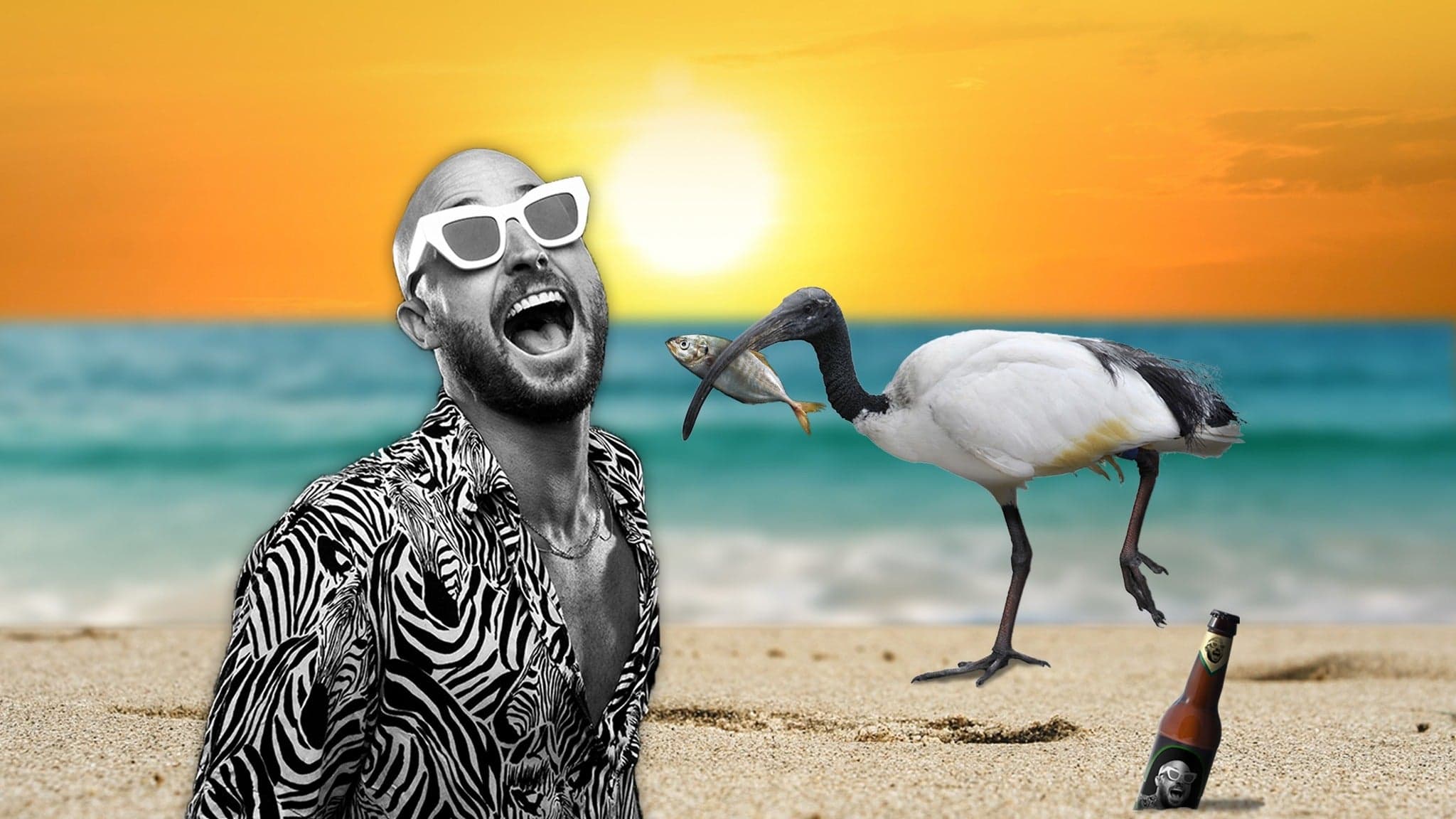 Fisher Australian Beach Party Tour event image