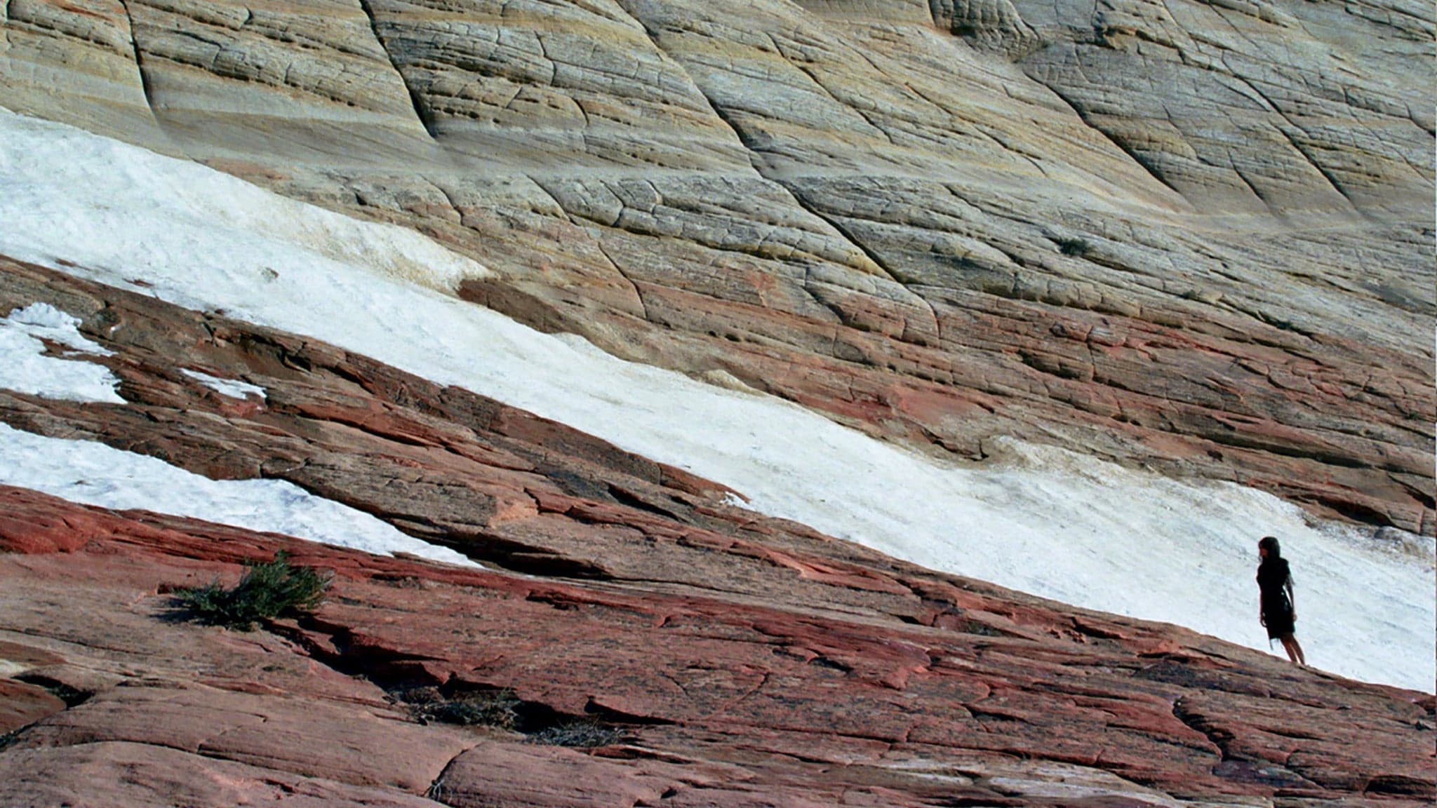 Tamaryn (Original Lineup) with Special Guest: Sculpture Club, Kai Tak event image