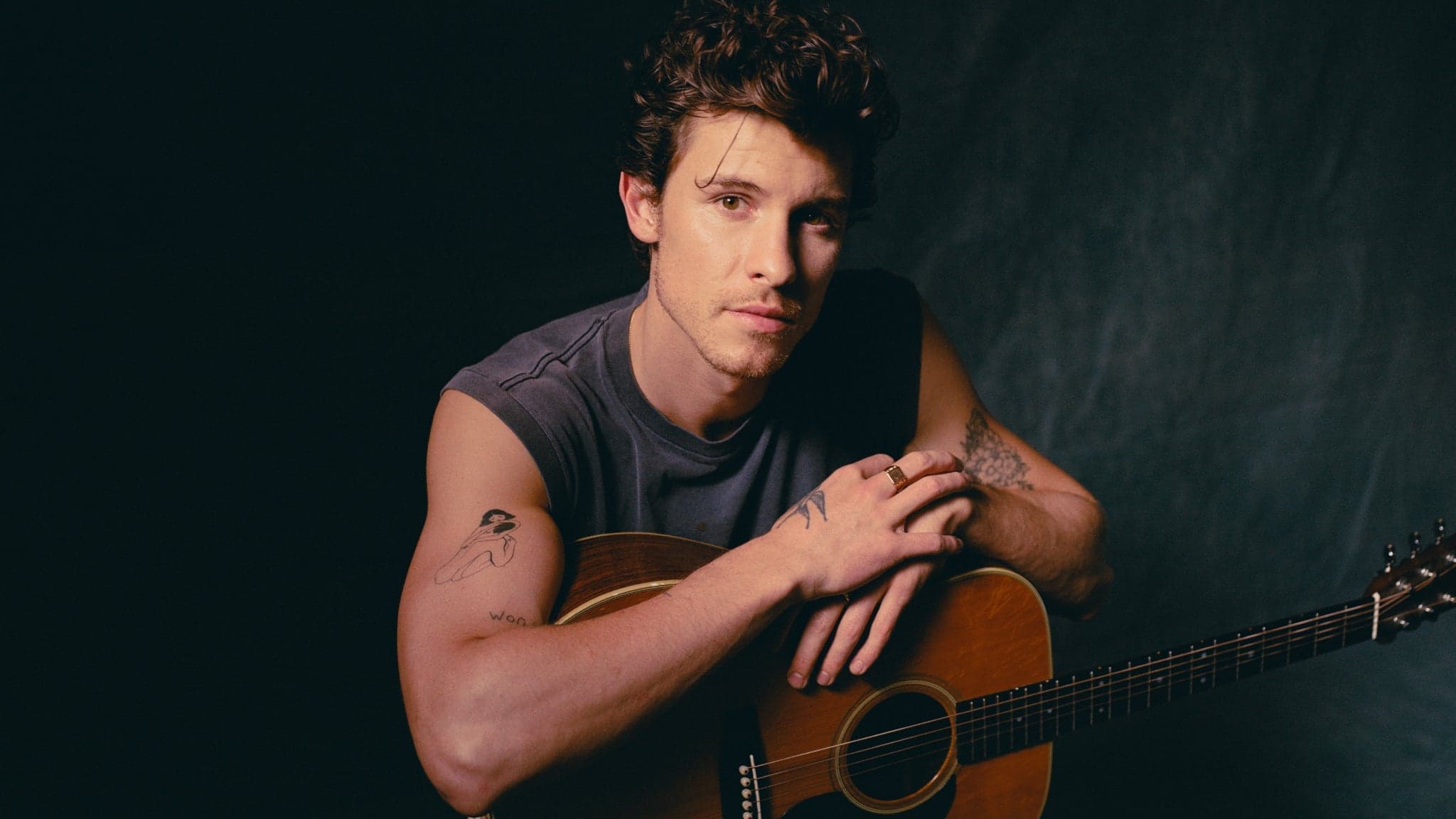 Shawn Mendes: VIP Package event image