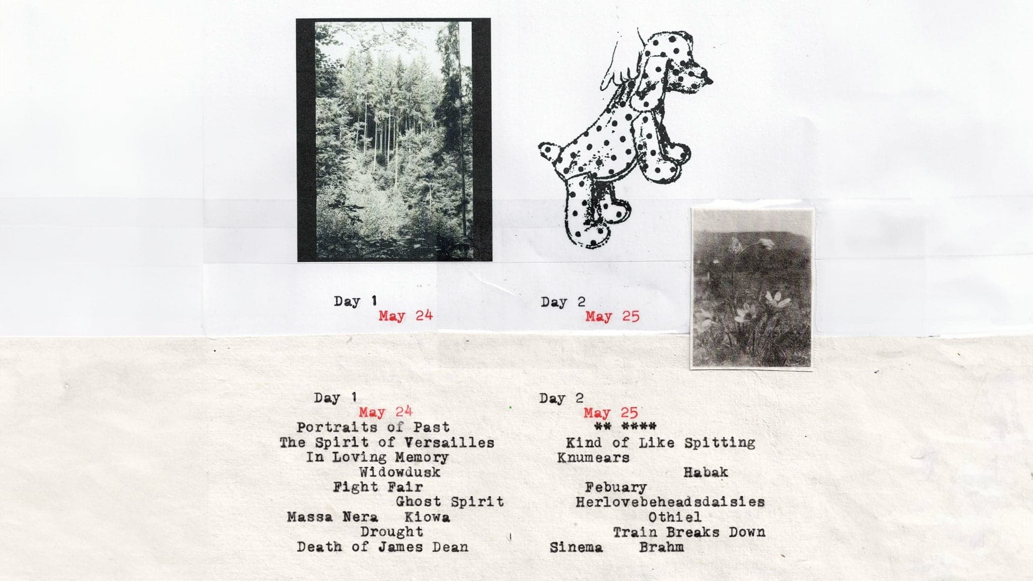 Your Renaissance Fest Day 2 event image