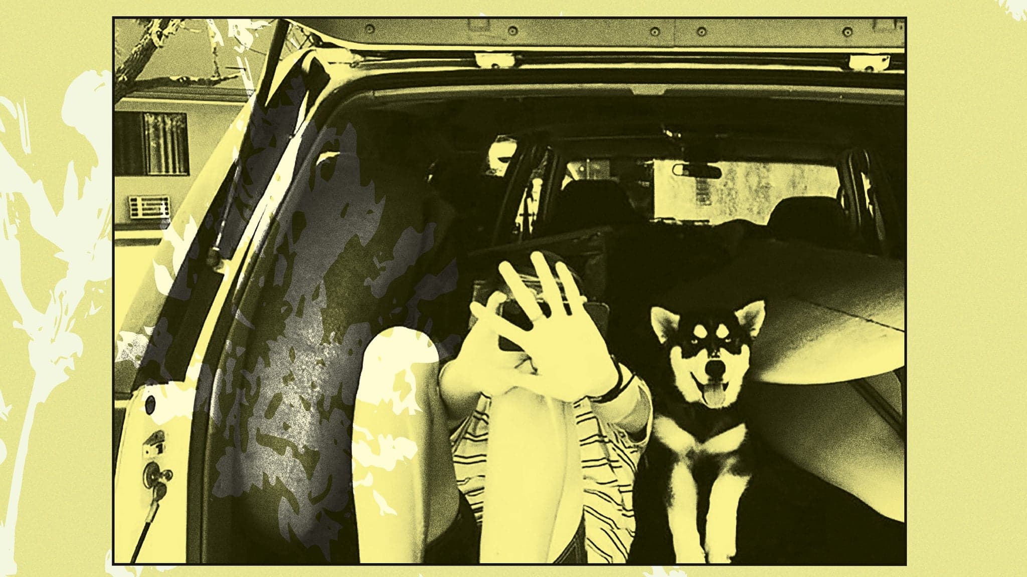 Throwing Muses: Moonlight Concessions event image